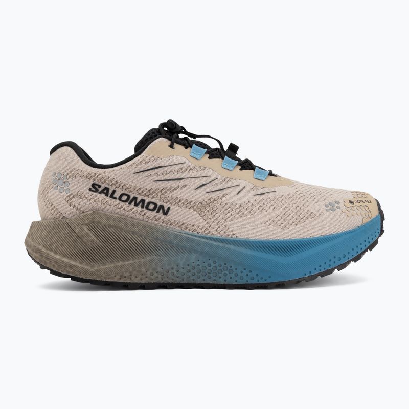 Buty do biegania męskie Salomon Aero Blaze 4 GRVL GTX oxford tan/black 2