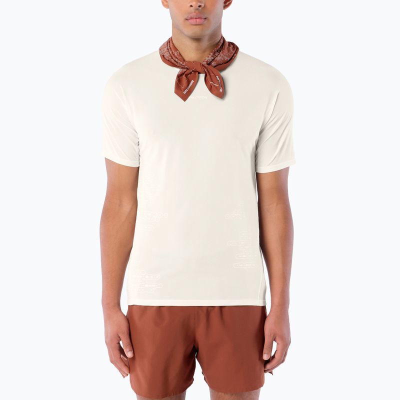 Koszulka do biegania męska Salomon Sense Aero GFX Tee SS whisper white/raind day/bright white