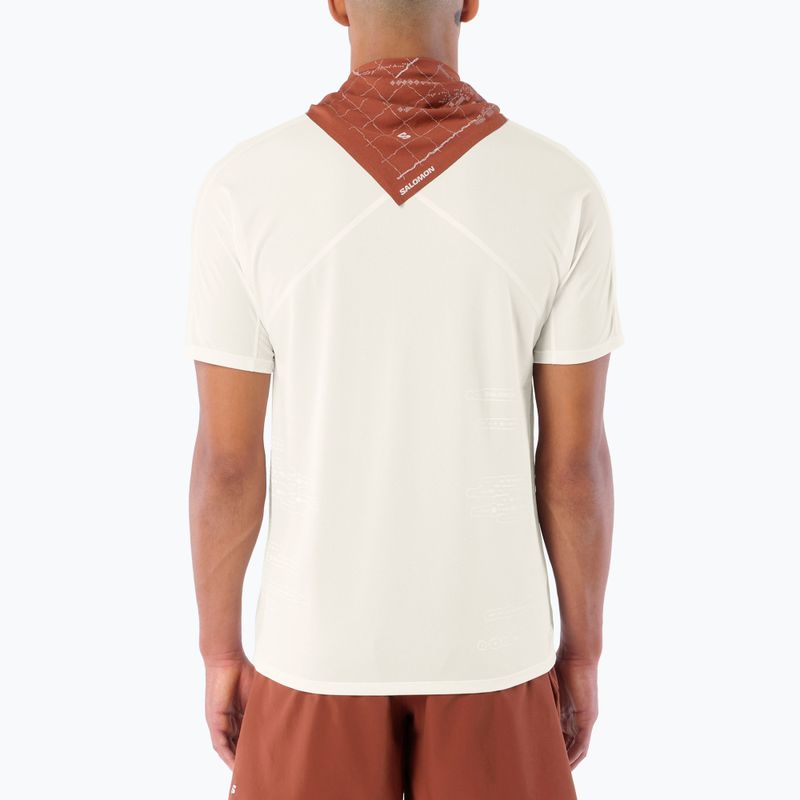 Koszulka do biegania męska Salomon Sense Aero GFX Tee SS whisper white/raind day/bright white 2