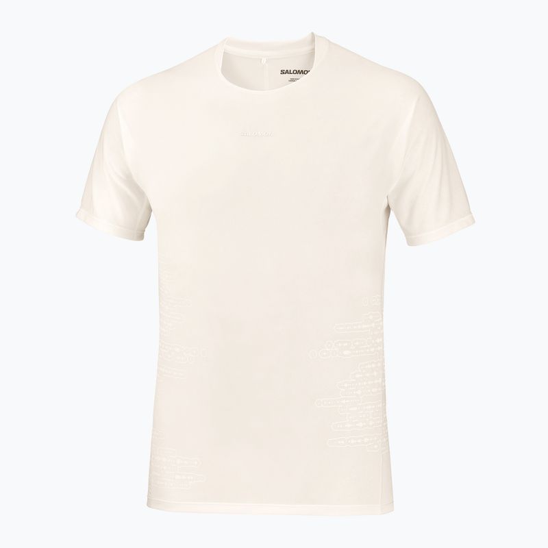 Koszulka do biegania męska Salomon Sense Aero GFX Tee SS whisper white/raind day/bright white 5