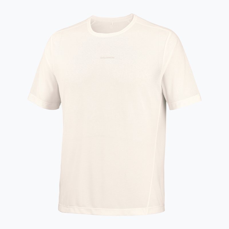 Koszulka do biegania męska Salomon Shakeout Core GFX SS Tee whisper white/pink frosting 5