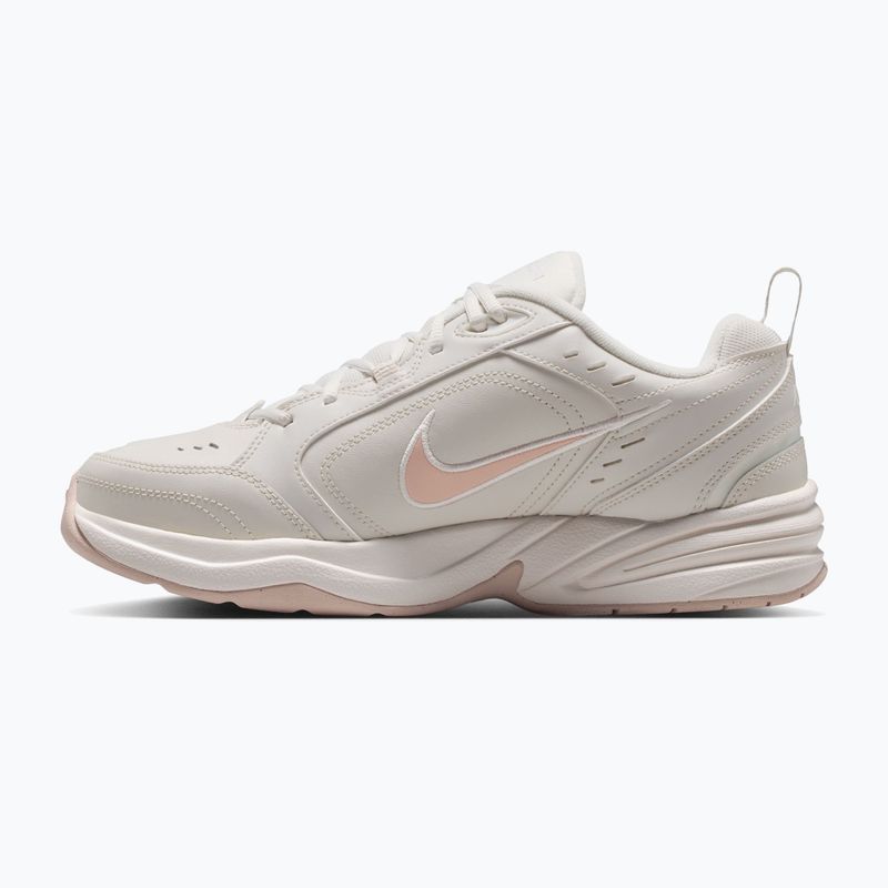 Buty treningowe męskie Nike Air Monarch IV light bone/spruce aura/sanddrift 9