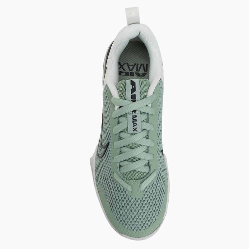Buty treningowe męskie Nike Air Max Alpha Trainer 6 steam/spruce aura/off white/black spruce 5