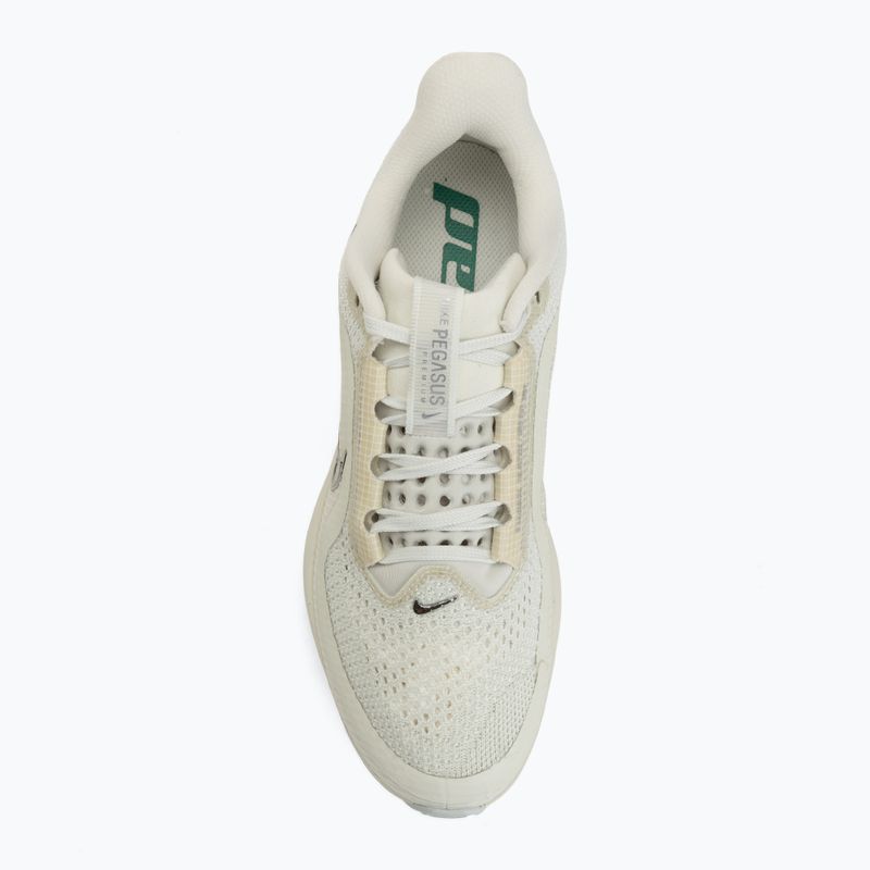 Buty do biegania damskie Nike Pegasus Premium sea glass/malachite/metallic silver 5