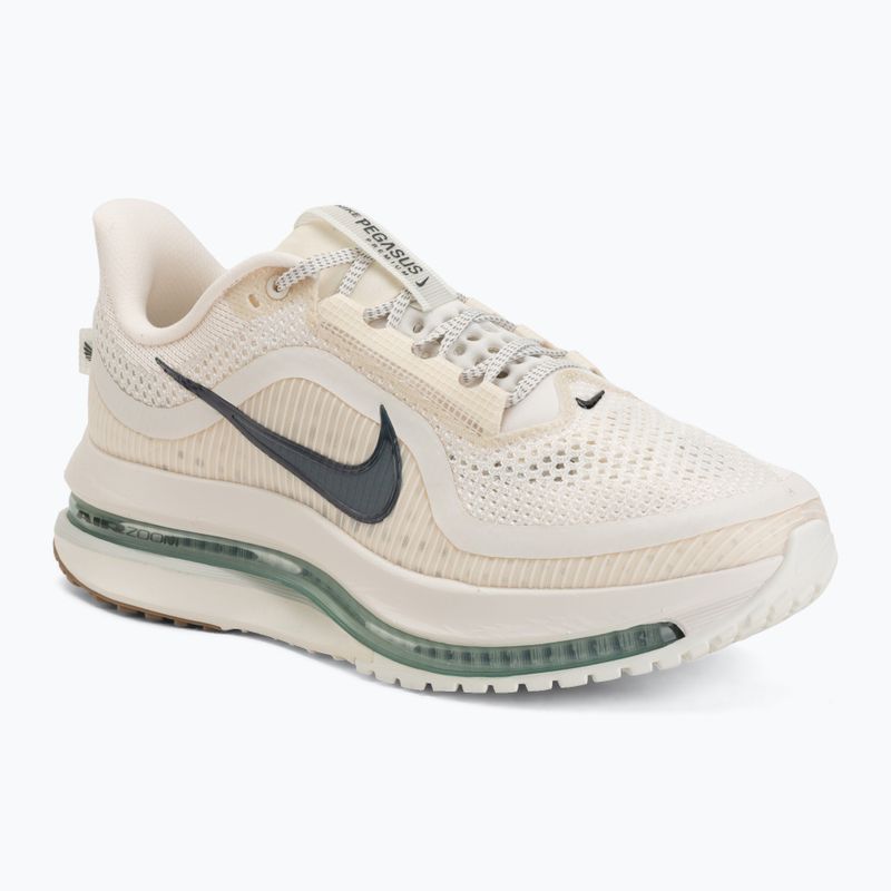 Buty do biegania męskie Nike Pegasus Premium Pale ivory/jade horizon/black spruce