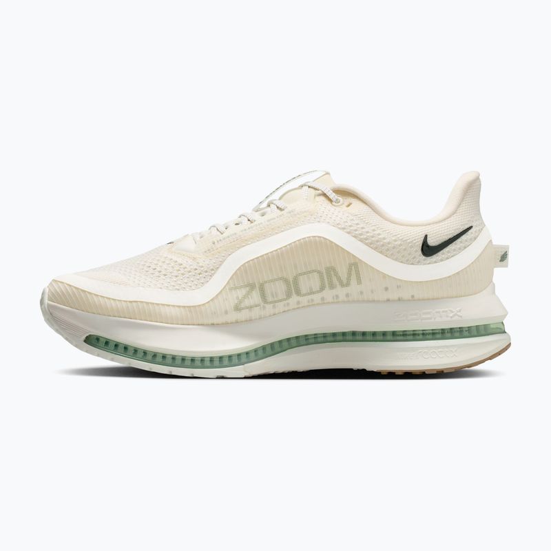 Buty do biegania męskie Nike Pegasus Premium Pale ivory/jade horizon/black spruce 2