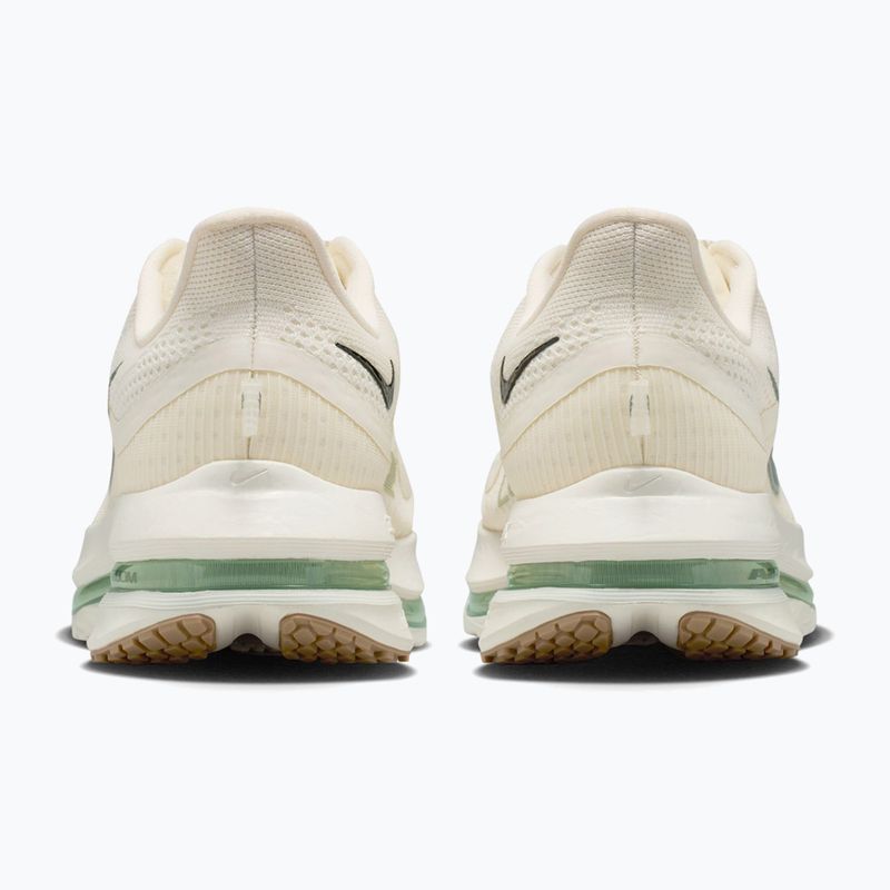 Buty do biegania męskie Nike Pegasus Premium Pale ivory/jade horizon/black spruce 4