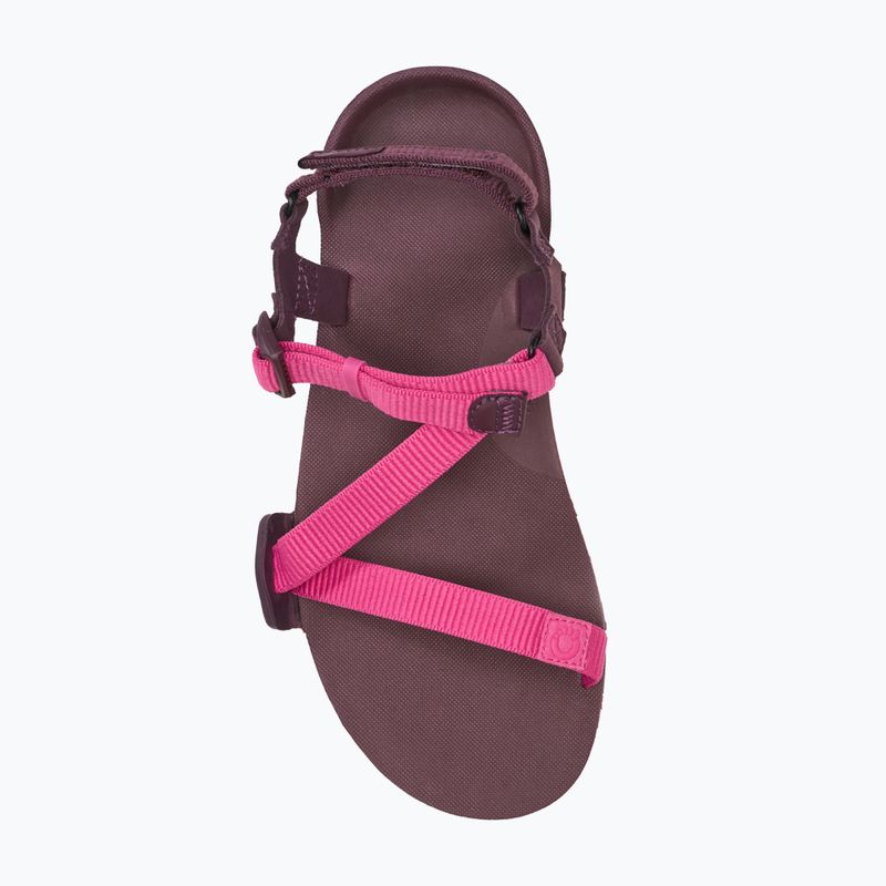 Sandały barefoot damskie Xero Shoes Z-Trail EV fuchsia purple 5