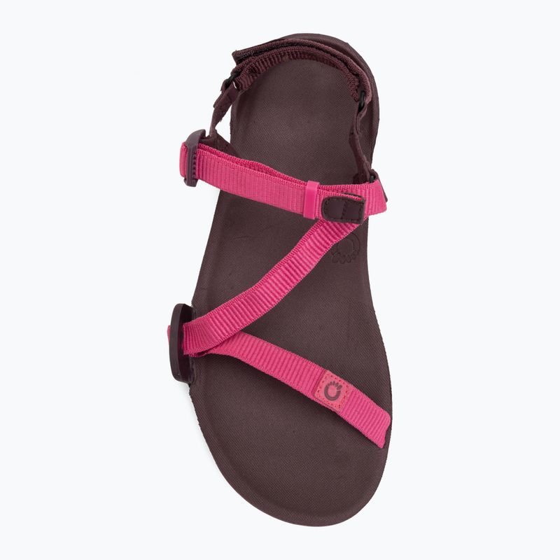 Sandały barefoot damskie Xero Shoes Z-Trail EV fuchsia purple 5