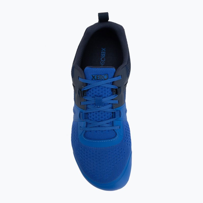 Buty barefoot męskie Xero Shoes Prio Neo blue lolite 5