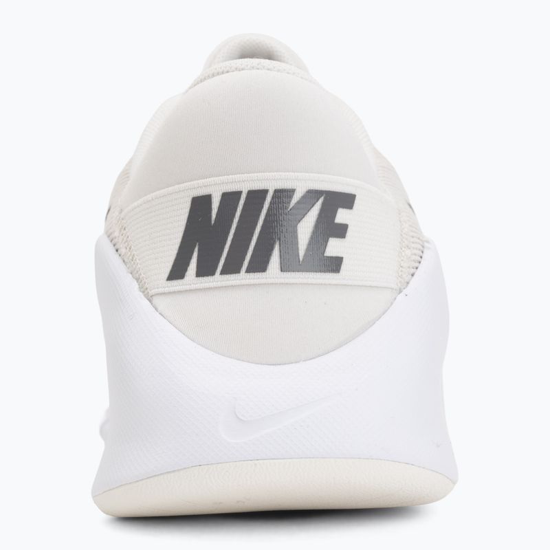 Buty treningowe męskie Nike Flex Train phantom/white/sail/pencil point 6