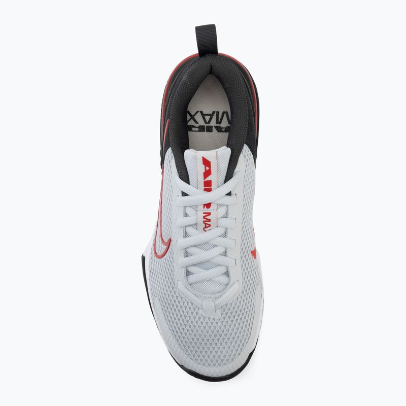 Buty treningowe męskie Nike Air Max Alpha Trainer 6 pure platinum/black/ white/university red 5