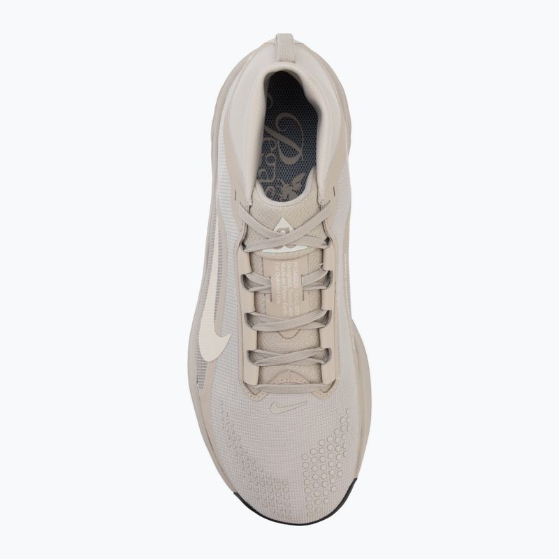 Buty do biegania męskie Nike ACG Pegasus Trail GORE-TEX Cream Ii/Light Orewood Brown 5