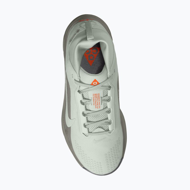 Buty do biegania damskie Nike ACG Pegasus Trail GORE-TEX Light Silver/Light Army/Light Silver 4