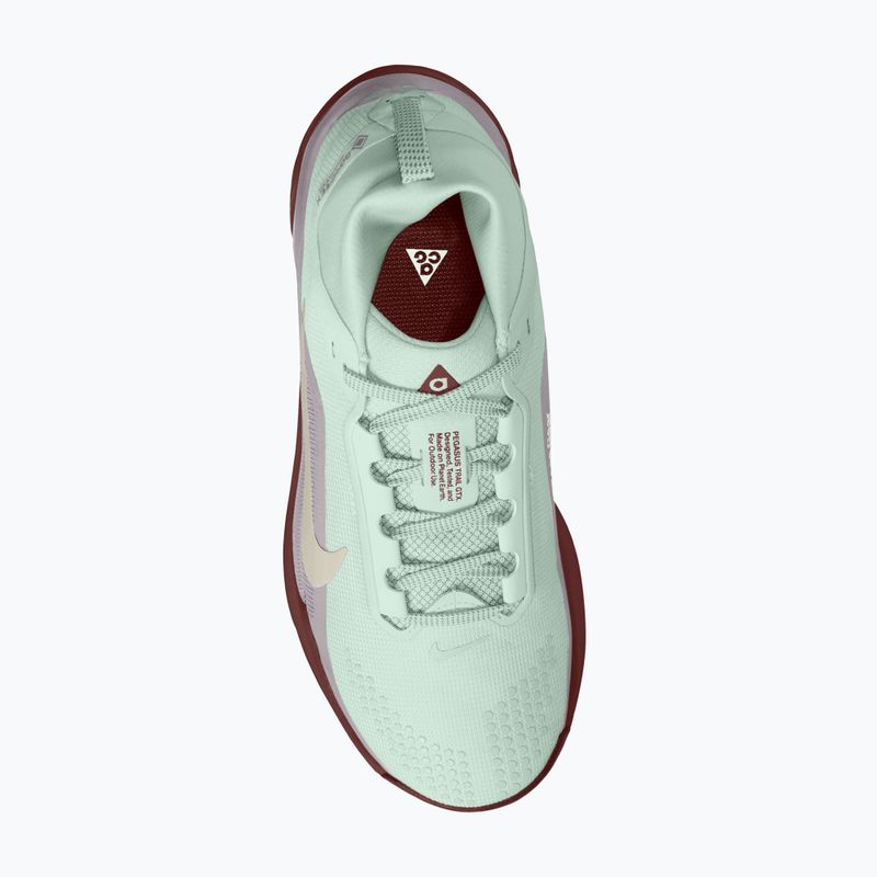 Buty do biegania damskie Nike ACG Pegasus Trail GORE-TEX Barely Green/Silver Lilac/Light Bone 4