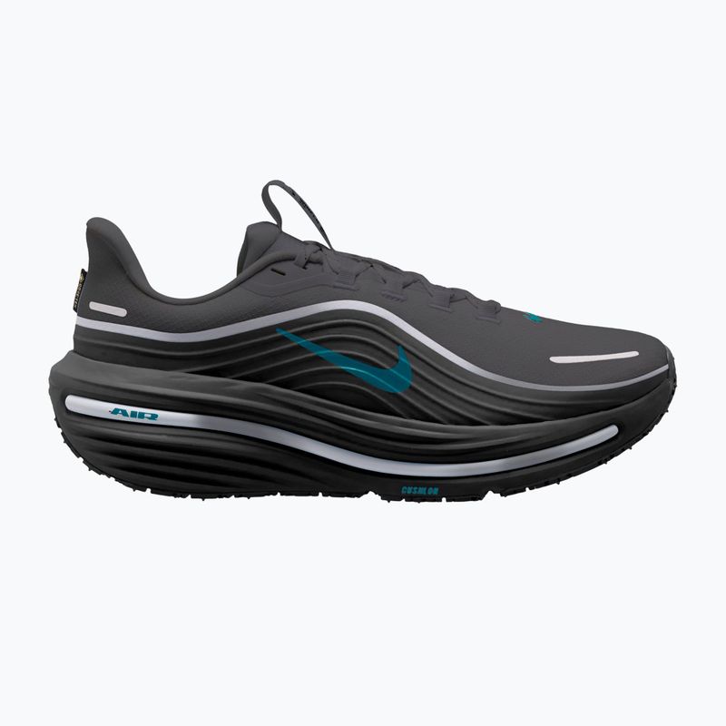 Buty do biegania męskie Nike Winflo 12 GORE-TEX anthracite/black/bright spruce
