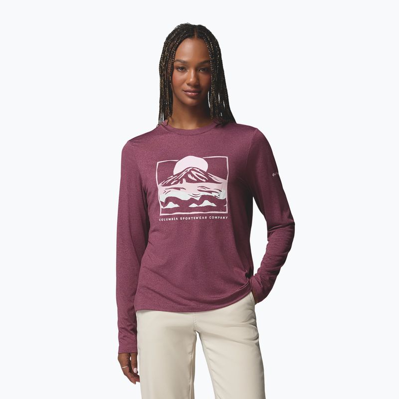 Longsleeve damski Columbia Parsons Point Graphic Tee antique mauve heather/all terrain