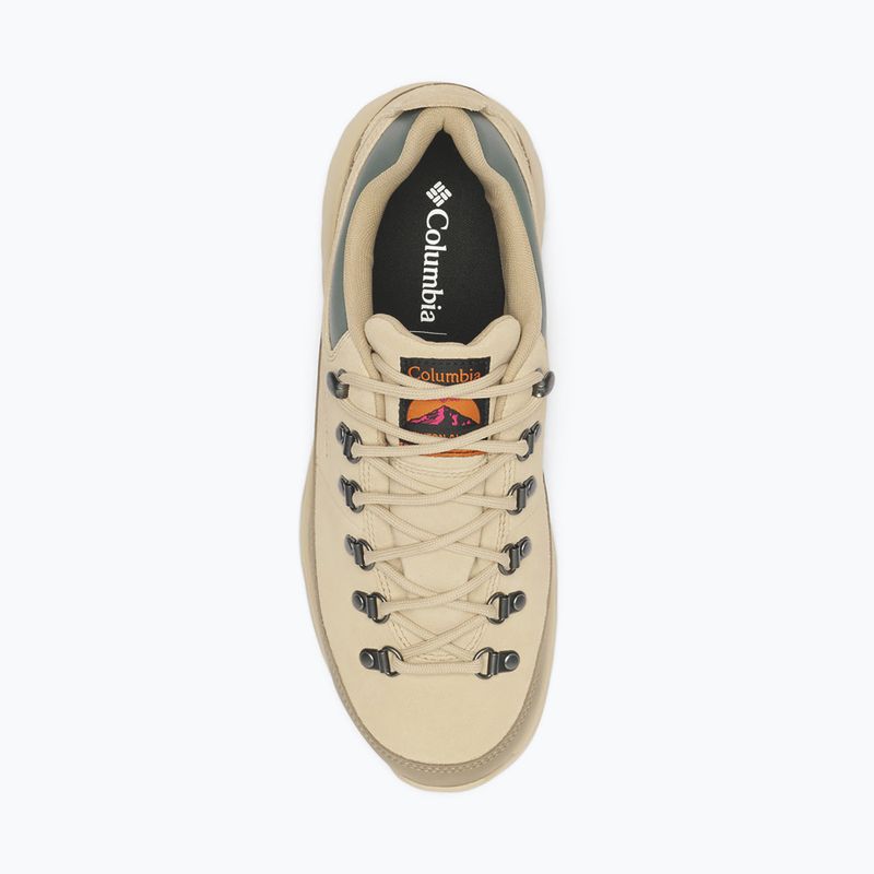 Buty trekkingowe męskie Columbia Newton Alpine Low fossil/sedona sage 4