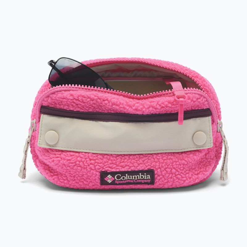 Saszetka nerka Columbia Helvetia II Hip Pack 1 l nico/dark stone 3