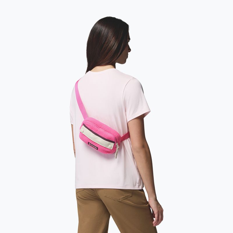 Saszetka nerka Columbia Helvetia II Hip Pack 1 l nico/dark stone 6