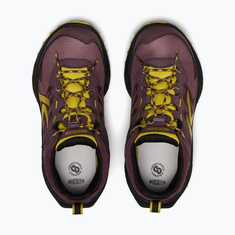 Buty trekkingowe dziecięce KEEN Zionic Mid Wp huckleberry/mango mint 5
