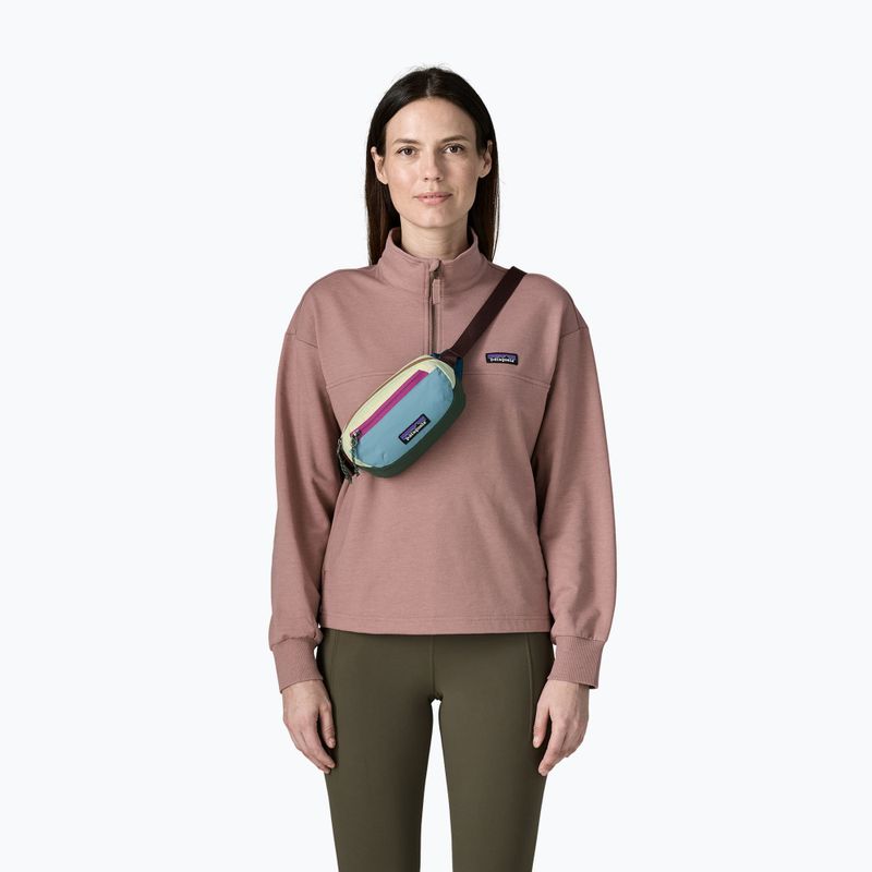 Saszetka nerka Patagonia Terravia Mini Hip patchwork: snowmelt blue 3