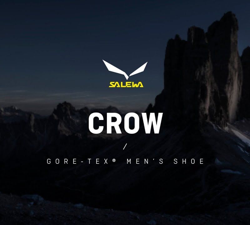 Buty wysokogórskie męskie Salewa Crow GTX cactus/sulphur spring 12