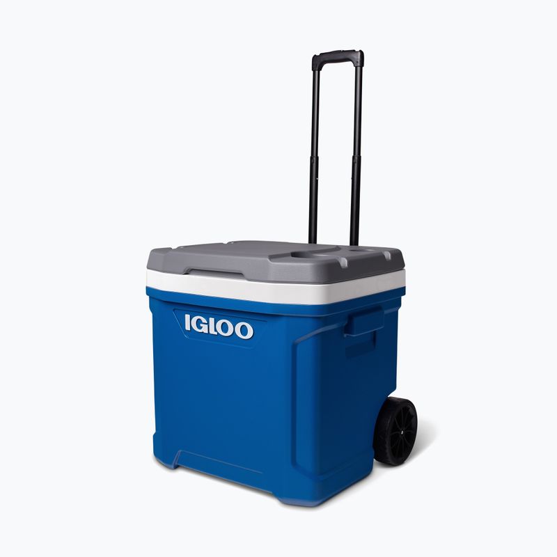 Lodówka turystyczna Igloo Latitude 60 Qt 56 l indigo blue 2