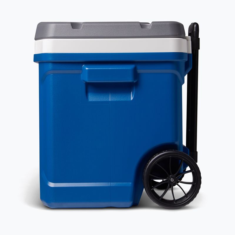 Lodówka turystyczna Igloo Latitude 60 Qt 56 l indigo blue 3