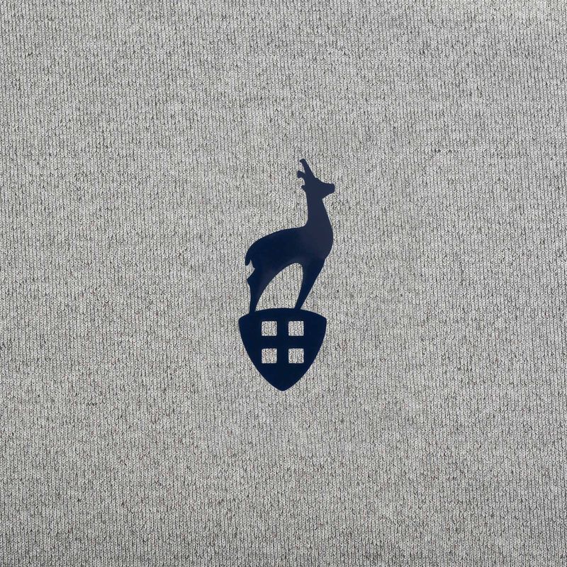 Koszulka męska Aulp Tommy grey/melange 6
