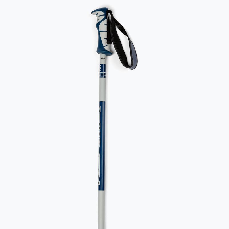 Kije narciarskie Dynastar Vector 4 grey/blue 2