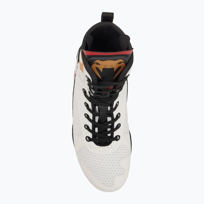Buty bokserskie Venum Elite Boxing ice/gold logo 5