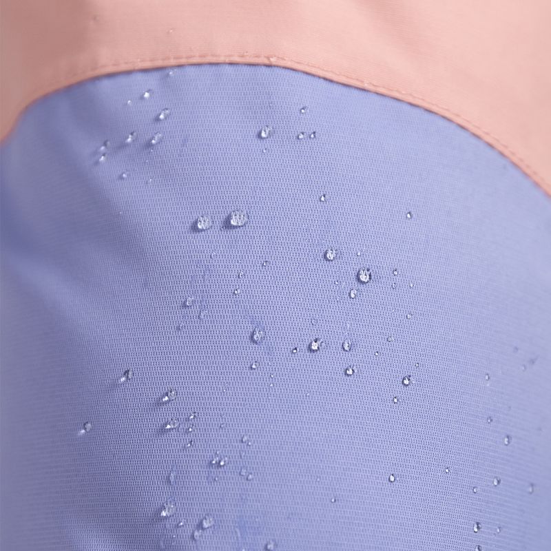 Spodnie snowboardowe damskie ROXY Chloe Kim Bib mellow rose 2