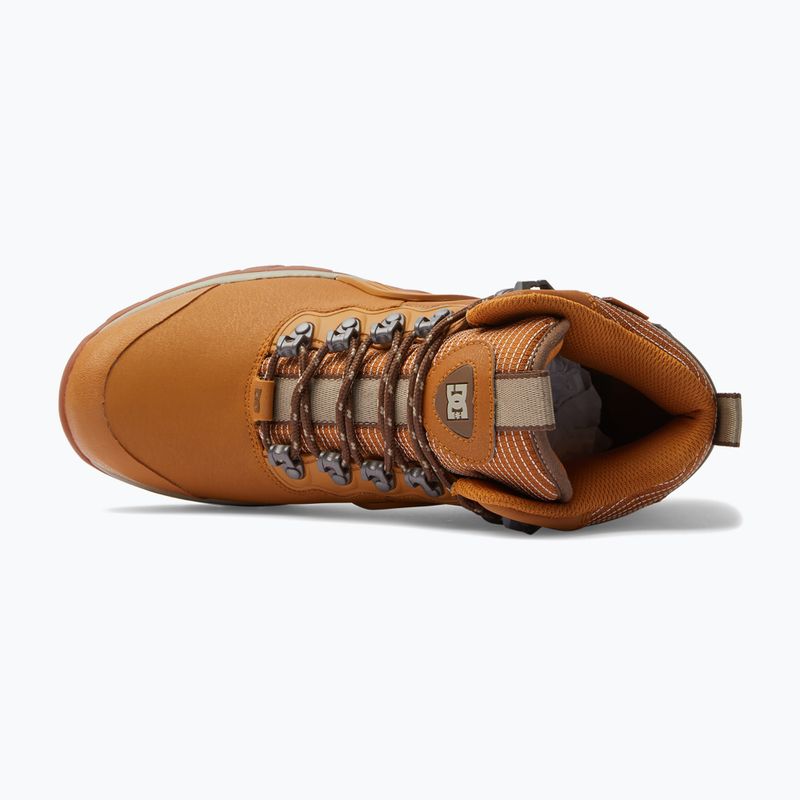 Buty męskie DC Navigator Winter wheat/dark chocolate 11