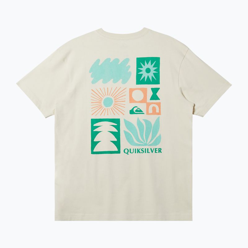Koszulka męska Quiksilver Natural Forms silver birch 5