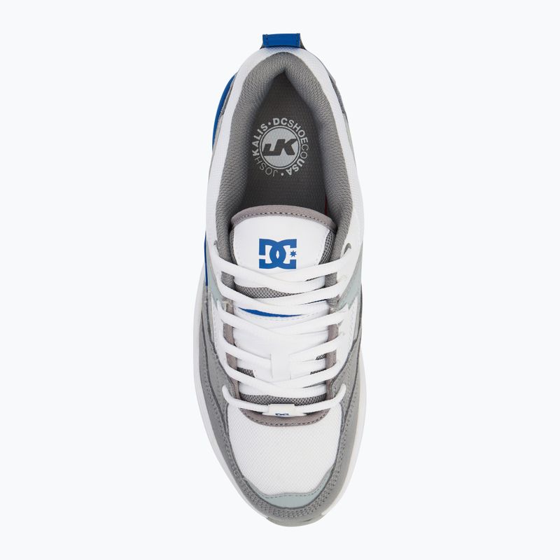 Buty męskie DC Ascend white/grey/blue 5