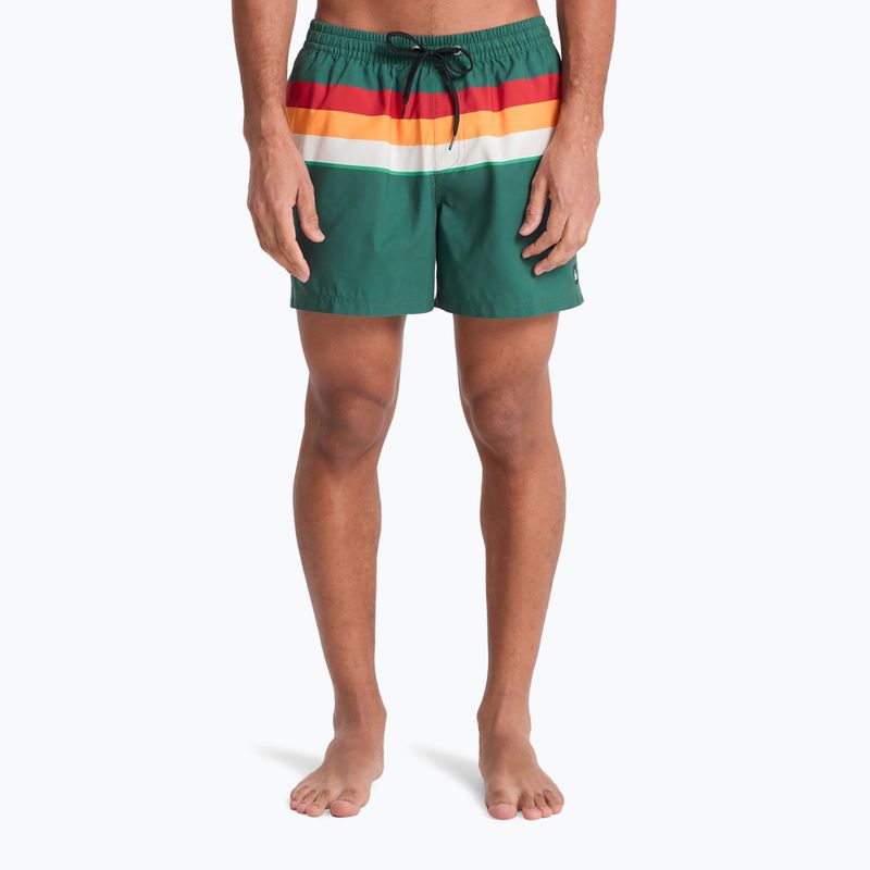 Szorty kąpielowe męskie Quiksilver Everyday Printed Volley 15" forest outside stripe 3