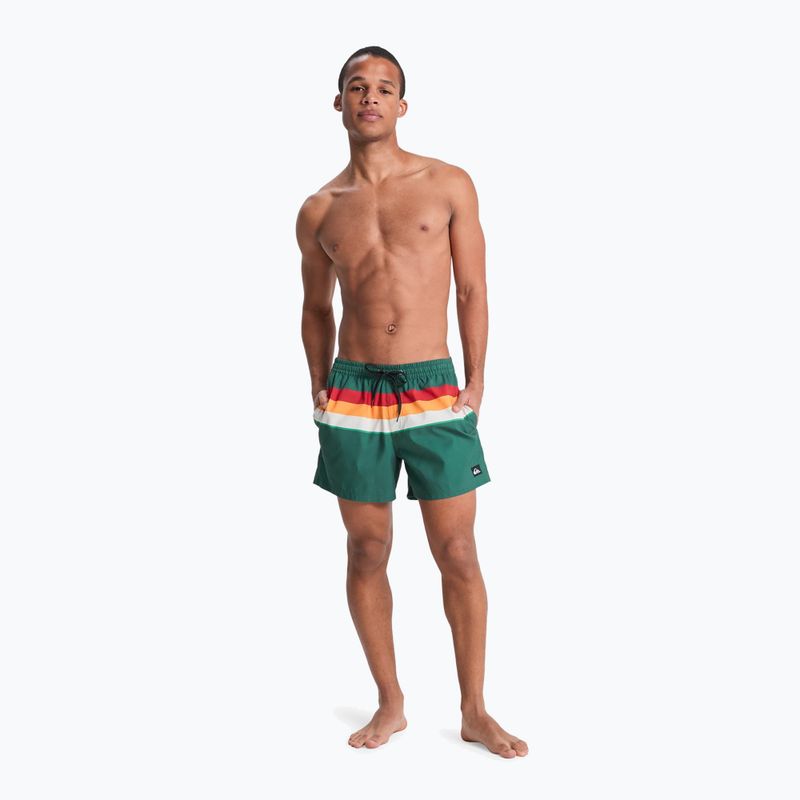 Szorty kąpielowe męskie Quiksilver Everyday Printed Volley 15" forest outside stripe 4