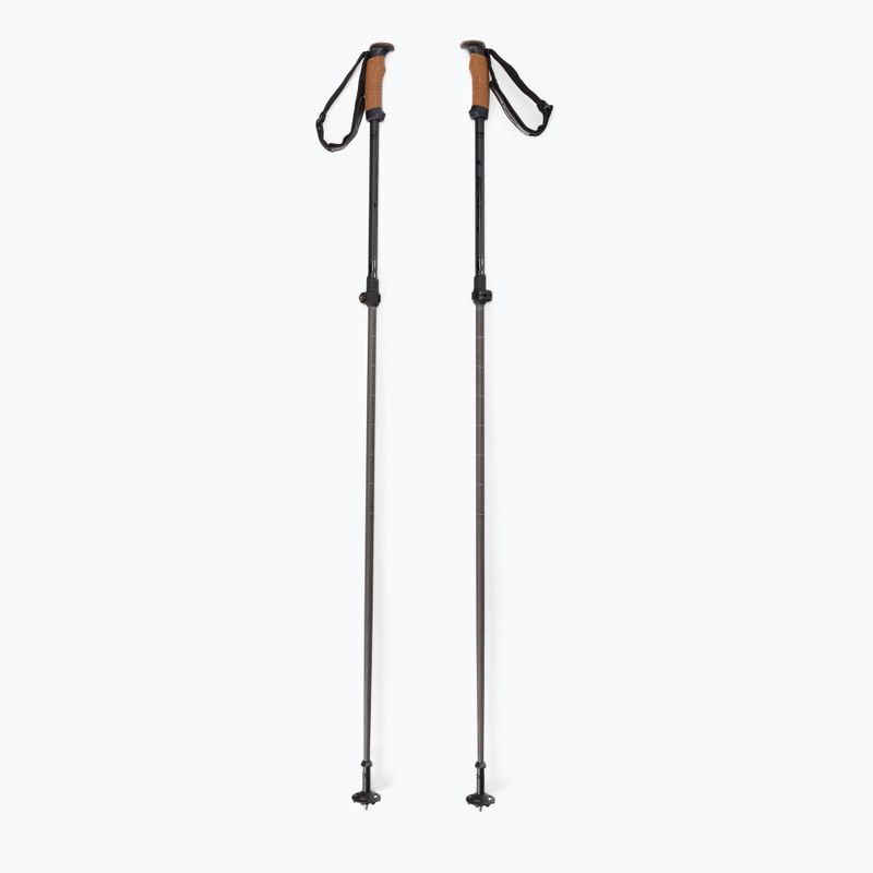 Kije narciarskie Elan Voyager Rod black