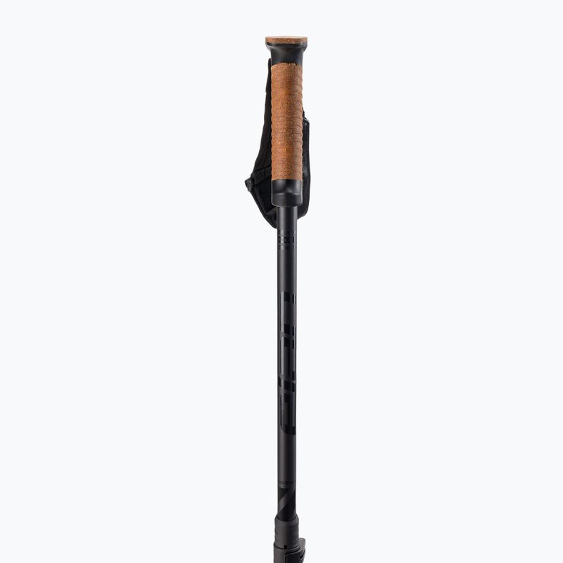 Kije narciarskie Elan Voyager Rod black 2