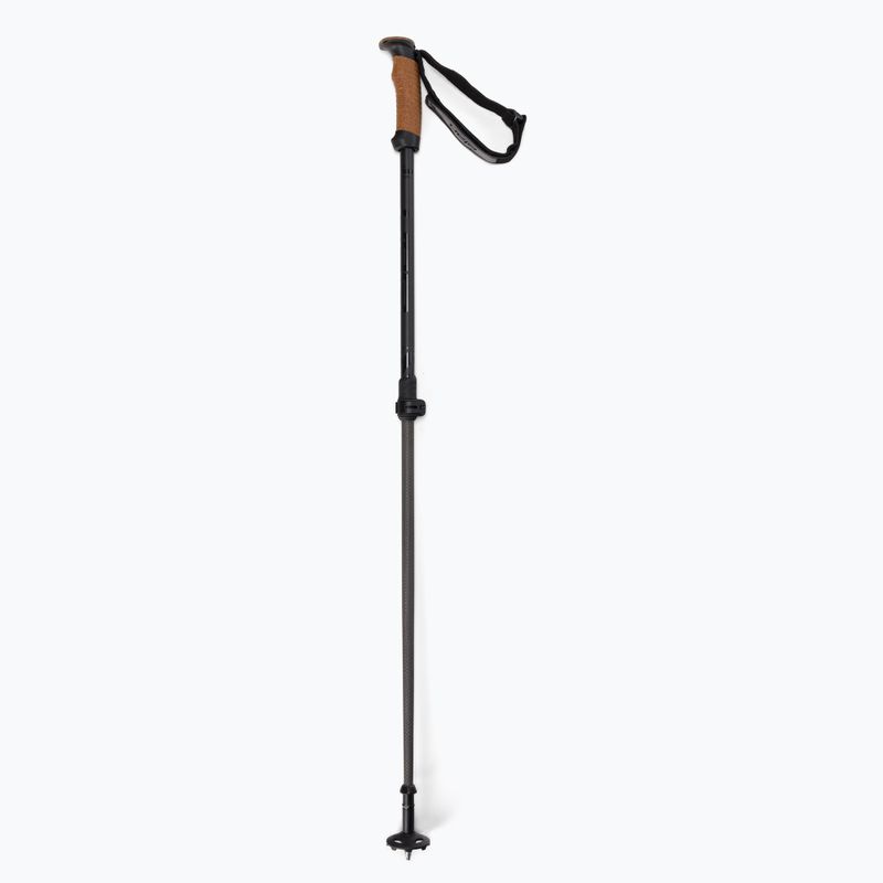 Kije narciarskie Elan Voyager Rod black 6