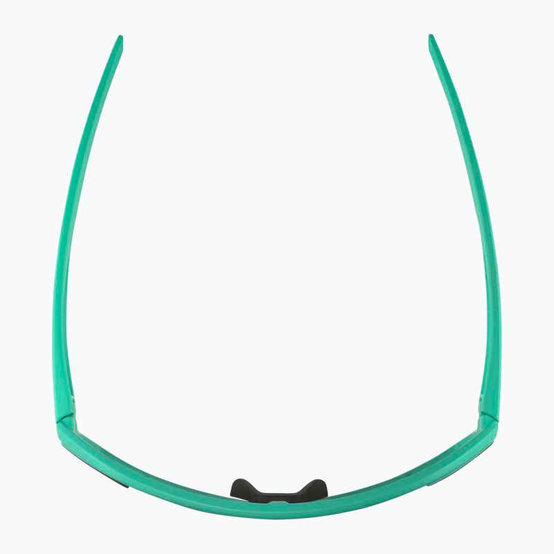 Okulary przeciwsłoneczne Alpina Bonfire turquoise matt/green 4
