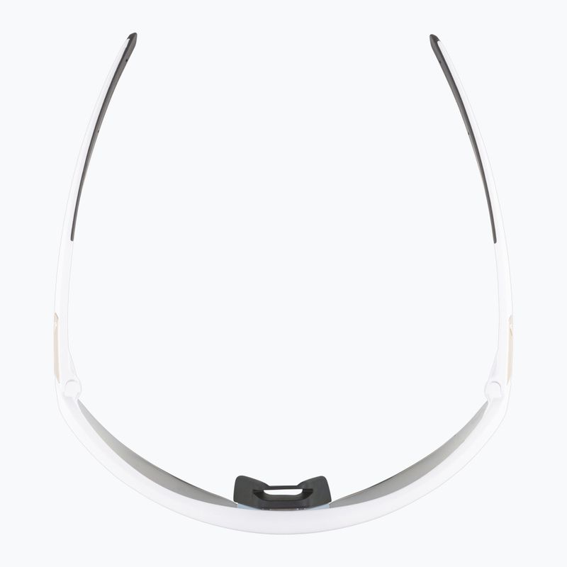 Okulary przeciwsłoneczne Alpina Turbo Pro QV white matt/ rainbow mirror 6