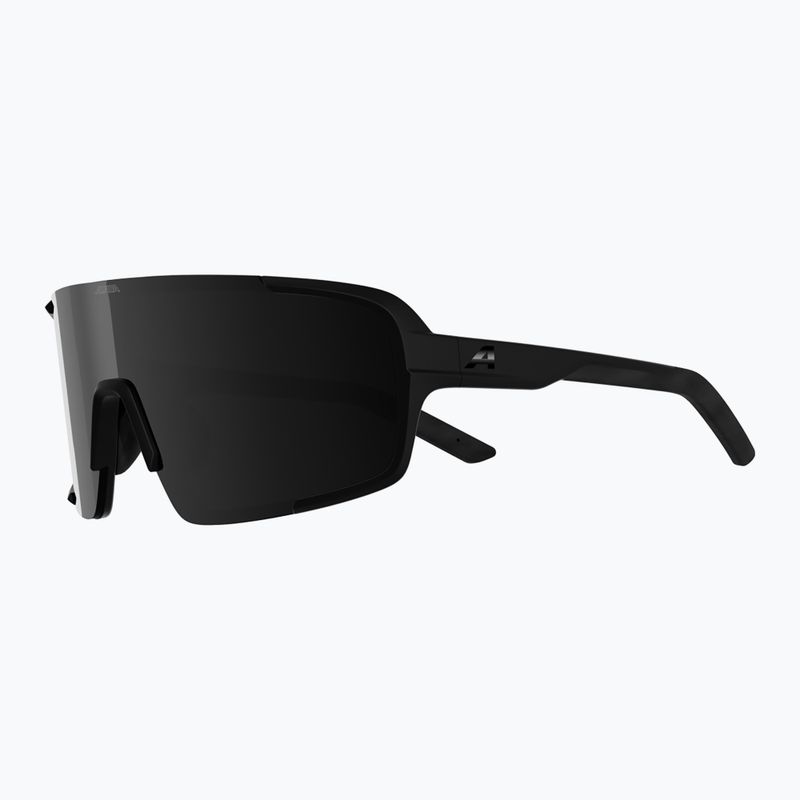 Okulary przeciwsłoneczne Alpina Lumin black matte/black 4