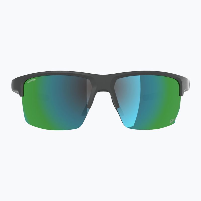 Okulary przeciwsłoneczne Alpina Eagle Q-Lite midnight/grey matt/green 2