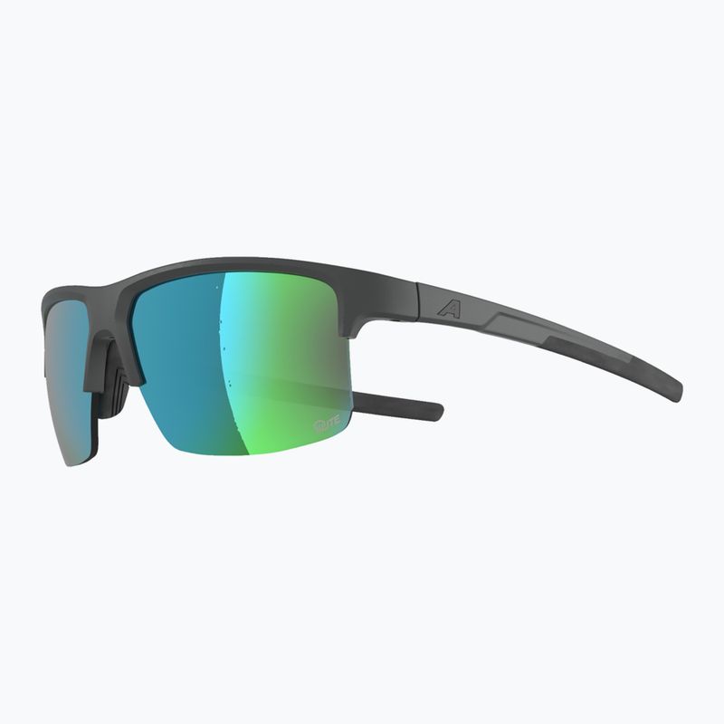 Okulary przeciwsłoneczne Alpina Eagle Q-Lite midnight/grey matt/green 3