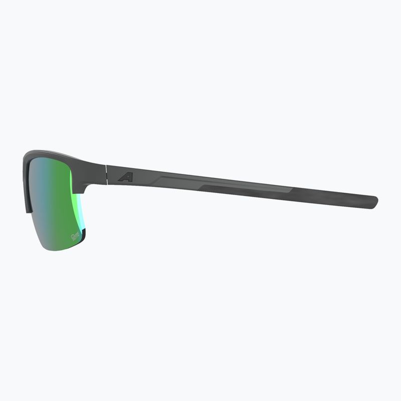Okulary przeciwsłoneczne Alpina Eagle Q-Lite midnight/grey matt/green 5