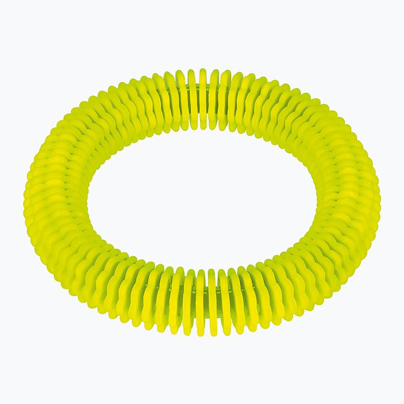 Zabawka do nurkowania Fashy 4200 pierścień lamelowy neon green