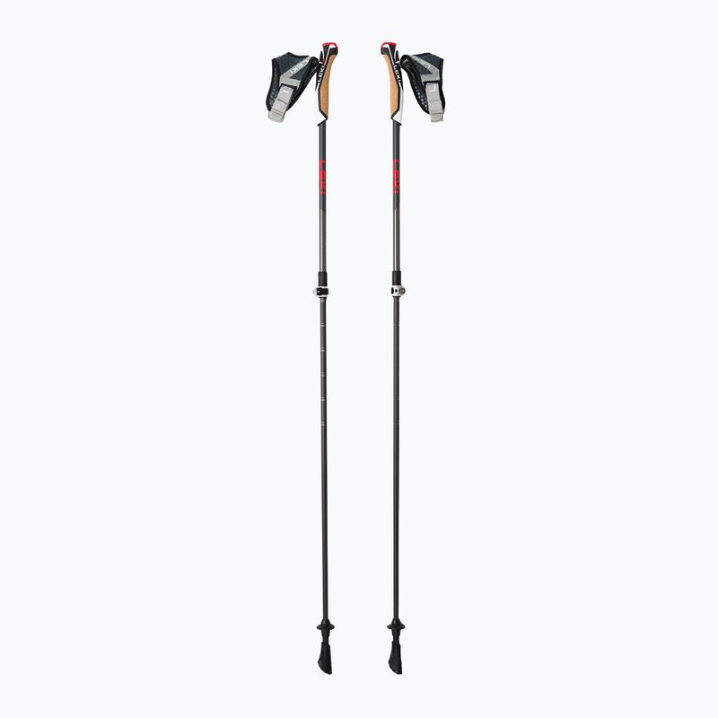 Kije nordic walking LEKI Instructor Lite czarno-srebrne 65326341