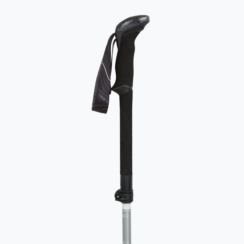 Kije trekkingowe LEKI Makalu FX TA silver/greygreen/white 2